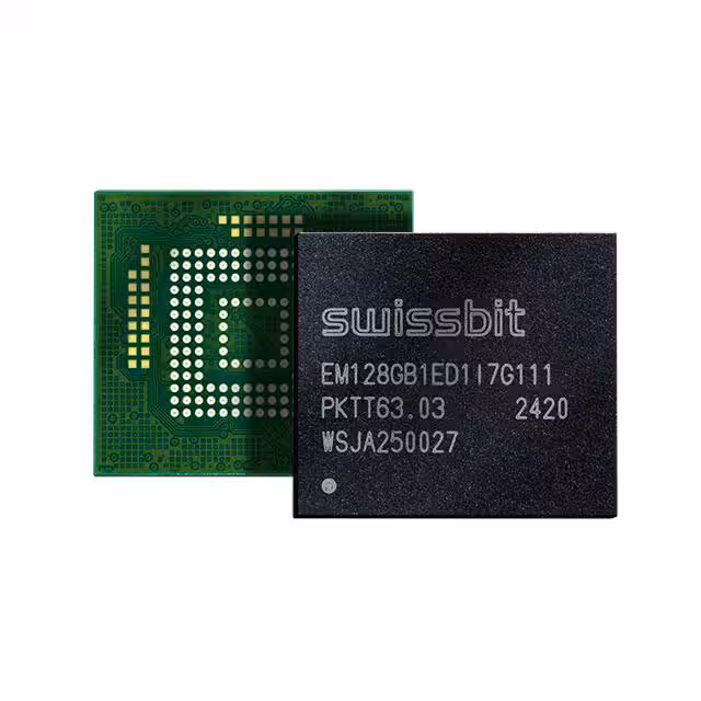 SFEM064GB2ED1TO-I-6F-111-STD